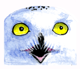 zoom up animal sticker #8480680