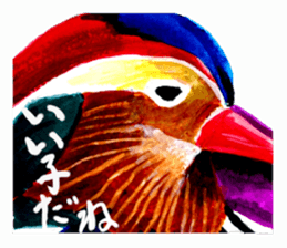 zoom up animal sticker #8480683