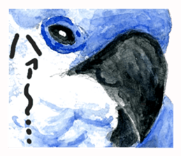 zoom up animal sticker #8480684