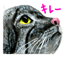 zoom up animal sticker #8480689