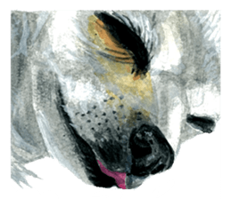 zoom up animal sticker #8480691