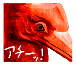 zoom up animal sticker #8480692