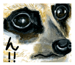 zoom up animal sticker #8480693