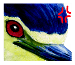 zoom up animal sticker #8480699