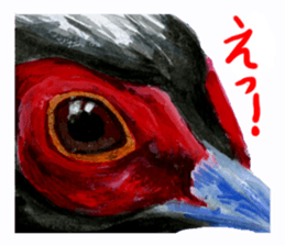 zoom up animal sticker #8480702