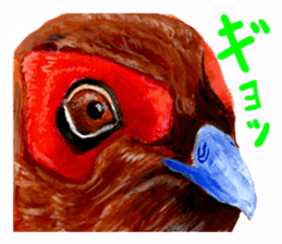 zoom up animal sticker #8480704