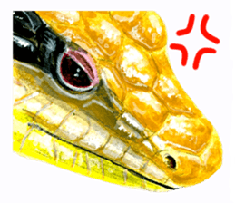 zoom up animal sticker #8480705