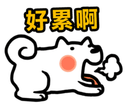 NIKU CEO the most epic Akita sticker #8483193