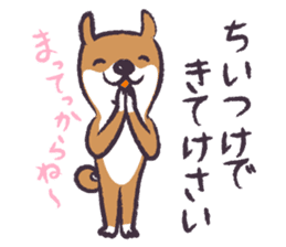 Dog John-ta speak in Sendai dialect. -4- sticker #8484985