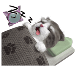 Cu Mofu Kitten3 sticker #8485126