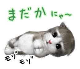 Cu Mofu Kitten3 sticker #8485145