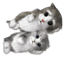 Cu Mofu Kitten3 sticker #8485149