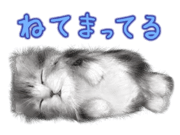 Cu Mofu Kitten3 sticker #8485150