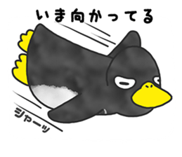 annoying cute PENGUIN2 sticker #8488083