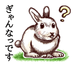 Kumamoto dialect rabbit sticker #8488159