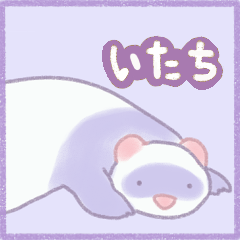 Ferret Stickers2