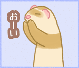 Ferret Stickers2 sticker #8488778