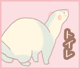 Ferret Stickers2 sticker #8488779