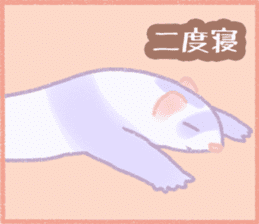 Ferret Stickers2 sticker #8488784