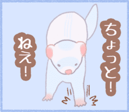 Ferret Stickers2 sticker #8488786