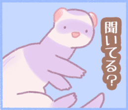 Ferret Stickers2 sticker #8488787