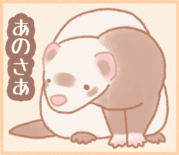 Ferret Stickers2 sticker #8488790