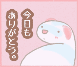 Ferret Stickers2 sticker #8488793