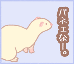 Ferret Stickers2 sticker #8488794