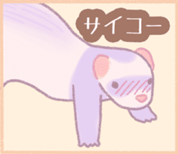 Ferret Stickers2 sticker #8488795