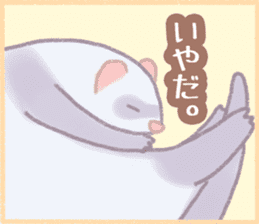 Ferret Stickers2 sticker #8488798