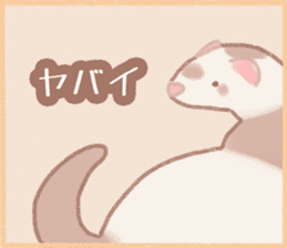 Ferret Stickers2 sticker #8488799
