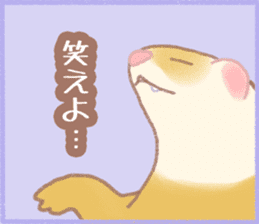 Ferret Stickers2 sticker #8488800