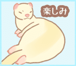 Ferret Stickers2 sticker #8488805