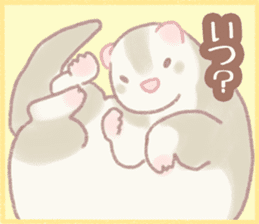 Ferret Stickers2 sticker #8488807
