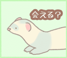 Ferret Stickers2 sticker #8488808