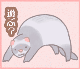 Ferret Stickers2 sticker #8488809
