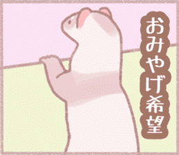 Ferret Stickers2 sticker #8488815