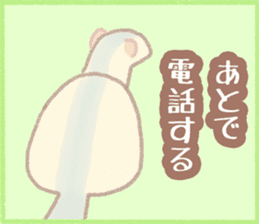 Ferret Stickers2 sticker #8488817