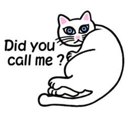 I am a cat.Thank you.3!(English) sticker #8492539