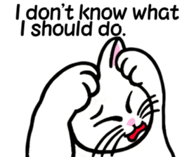 I am a cat.Thank you.3!(English) sticker #8492543