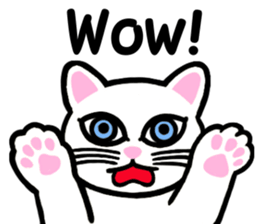 I am a cat.Thank you.3!(English) sticker #8492555