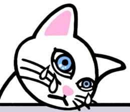 I am a cat.Thank you.3!(English) sticker #8492559