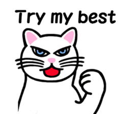 I am a cat.Thank you.3!(English) sticker #8492564