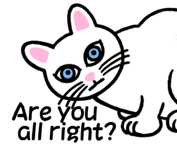 I am a cat.Thank you.3!(English) sticker #8492566