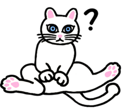 I am a cat.Thank you.3!(English) sticker #8492567