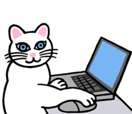 I am a cat.Thank you.3!(English) sticker #8492570