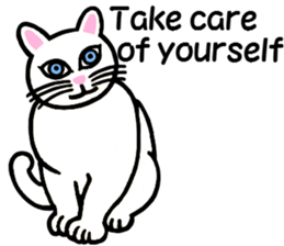 I am a cat.Thank you.3!(English) sticker #8492575