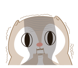 Cute Flying squirrel hari ver.02 sticker #8493150
