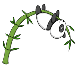 Panda Various Faces sticker #8496541