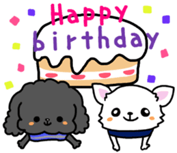 Toy poodle and Chihuahua for the couple sticker #8499181